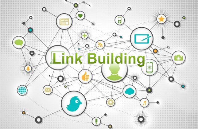 Importance of Link Building in SEO for Higher Rankings